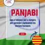 Language Guide For Punjabi in Catalan