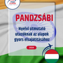 Language Guide For Punjabi in Hungarian