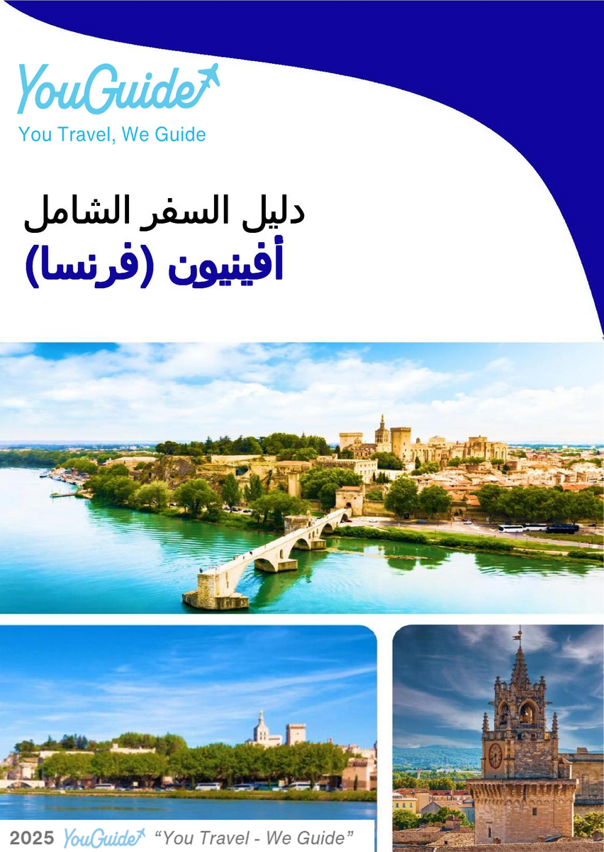 The city trip guide for Avignon (France)