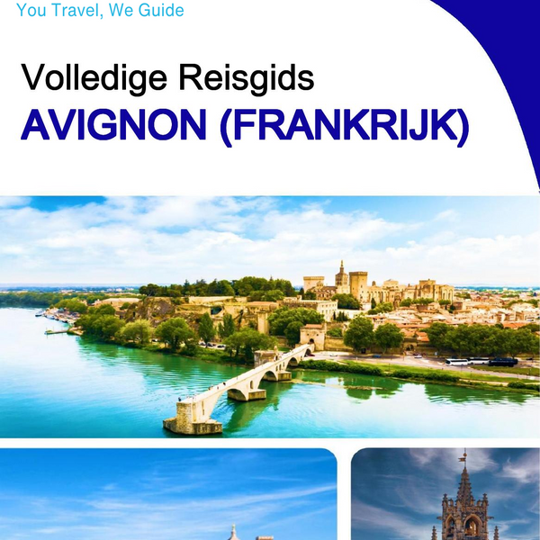 The city trip guide for Avignon (France)