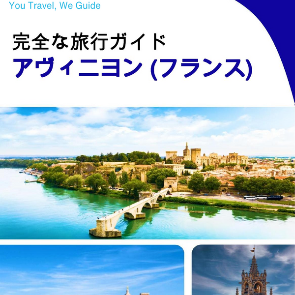 The city trip guide for Avignon (France)