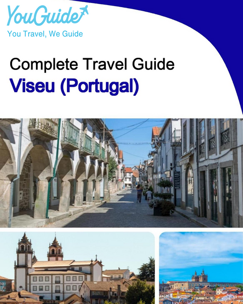 The city trip guide for Viseu (Portugal)